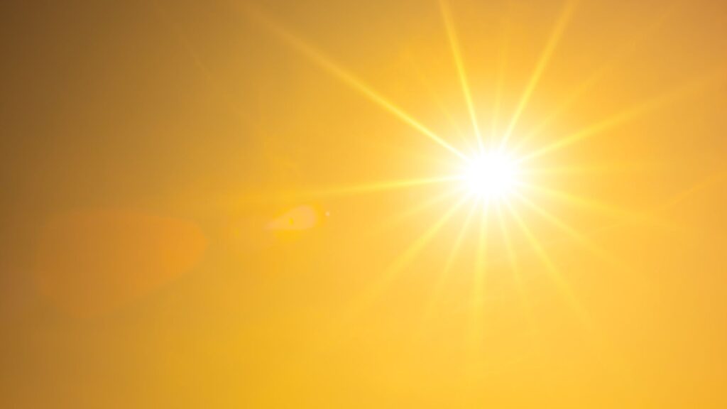 The sun