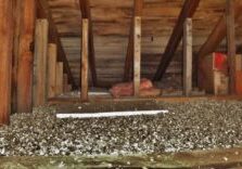 xr:d:DAGBjQh9NkA:16,j:6324603696305310939,t:24040513